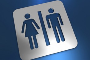 GenderStudies