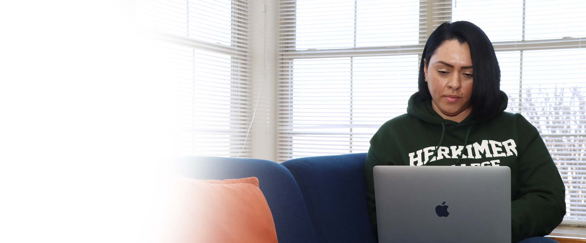 Online Learning