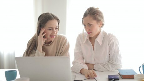 coworking female employees working together on project 3831890